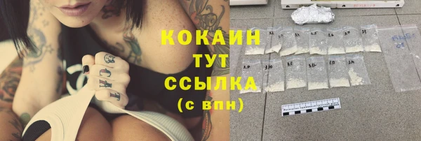 spice Аркадак