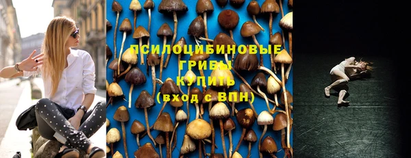 spice Аркадак
