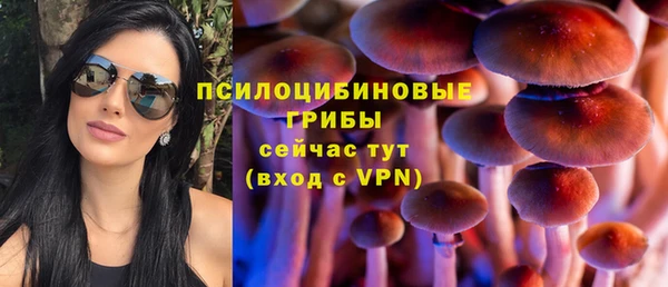 а пвп мука Армянск