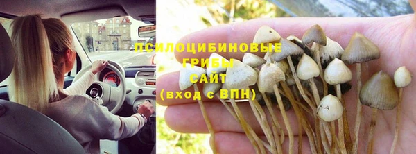 герыч Арсеньев