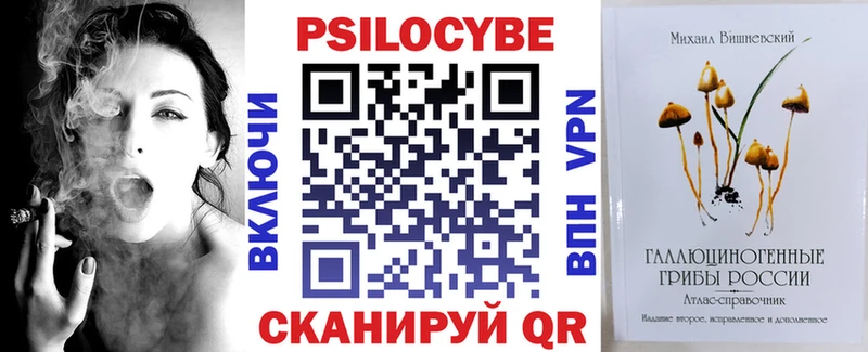 Псилоцибиновые грибы Psilocybe  ОМГ ОМГ   Асино 