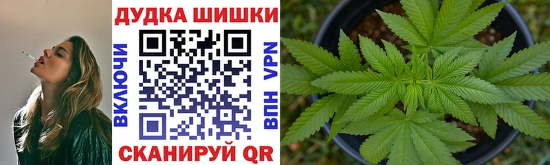 хочу   Асино  Конопля семена 